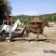 Viverde Hotel Ranch Berke
